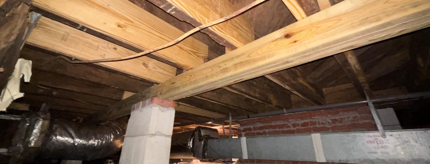 Crawlspace - Sutton Specialty Service Areas - Greenville, NC