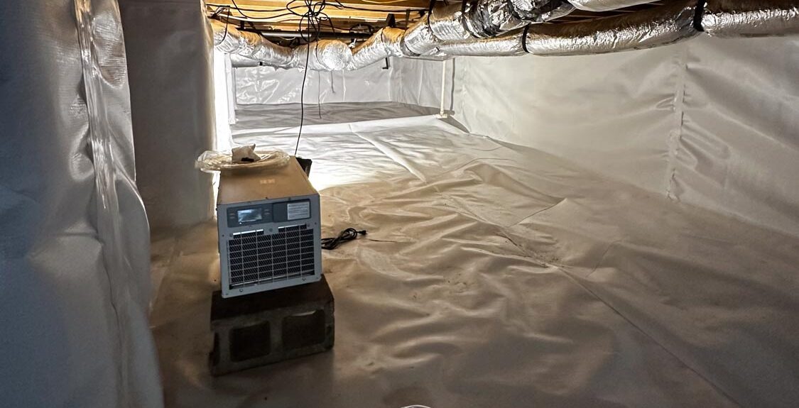 Crawlspace - Ayden, NC