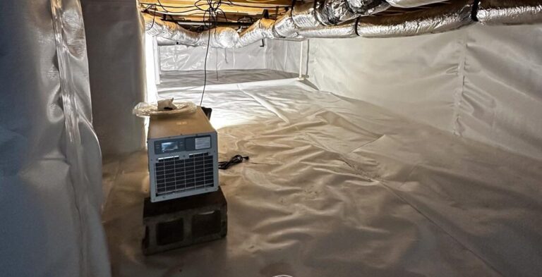 Crawlspace - Ayden, NC
