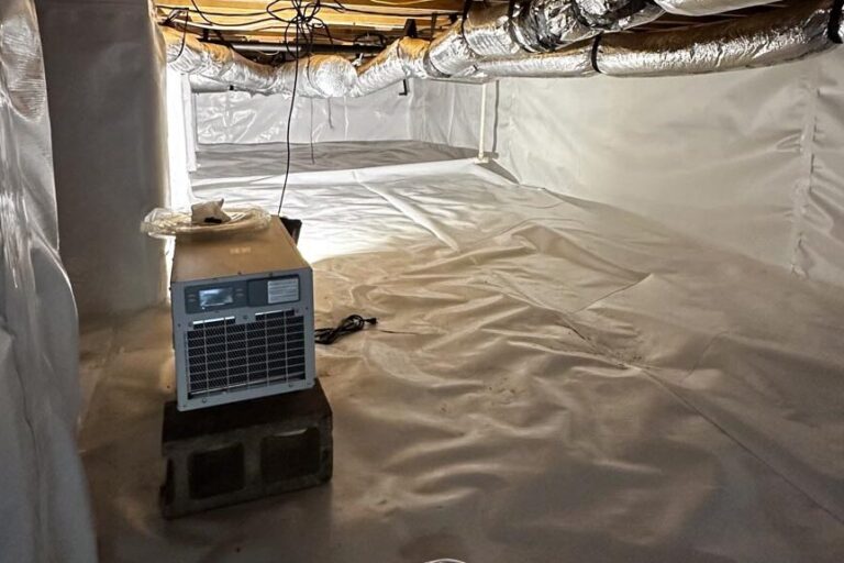 Crawlspace - Ayden, NC