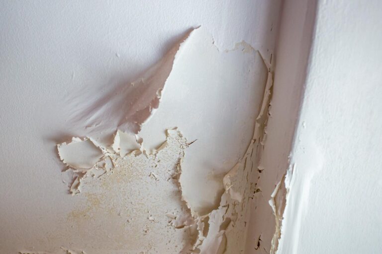 Summer Crawlspace Issues