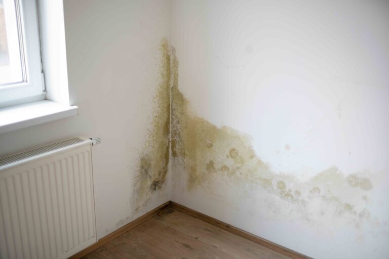 Inspecting Your Home This Spring blog