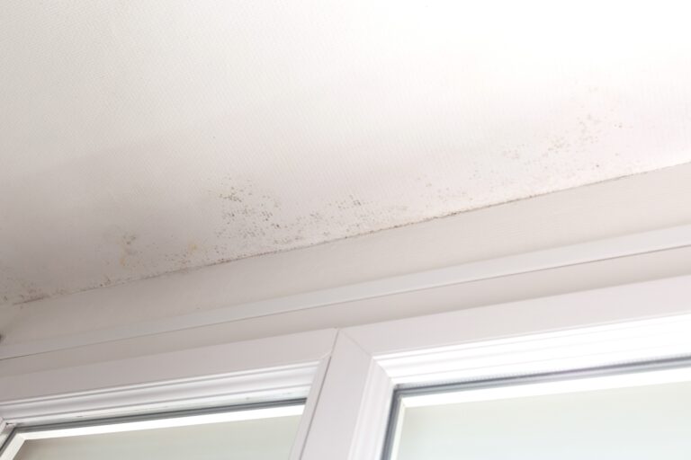IAQ and mold issues - Is Crawlspace Encapsulation Worth It blog